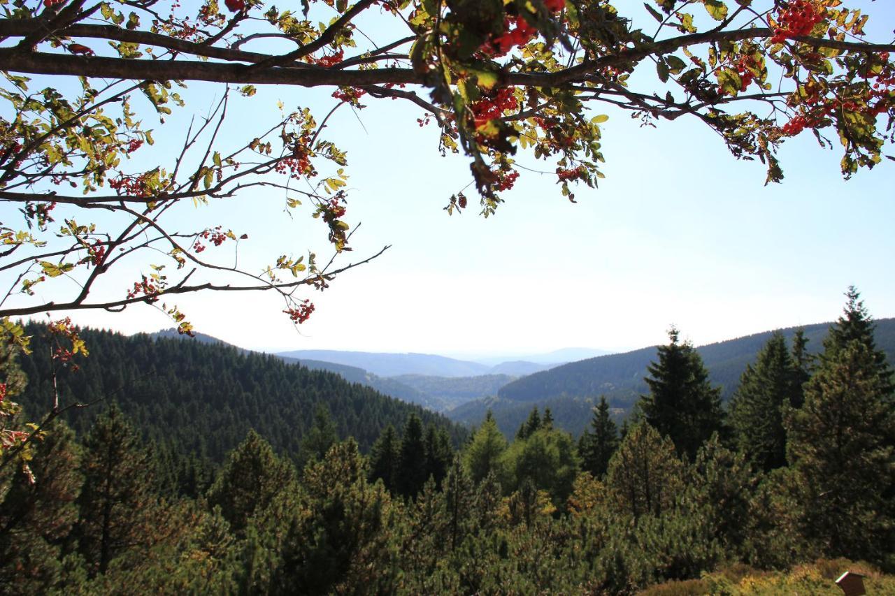 Konsum Gaestehaus Quisisana - Oberhof โอบาโฮฟ ภายนอก รูปภาพ